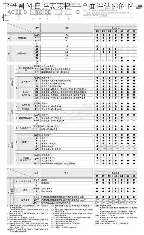 字母圈 M 自评表表格——全面评估你的 M 属性