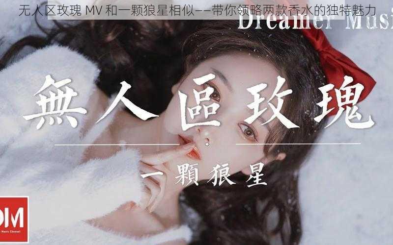 无人区玫瑰 MV 和一颗狼星相似——带你领略两款香水的独特魅力