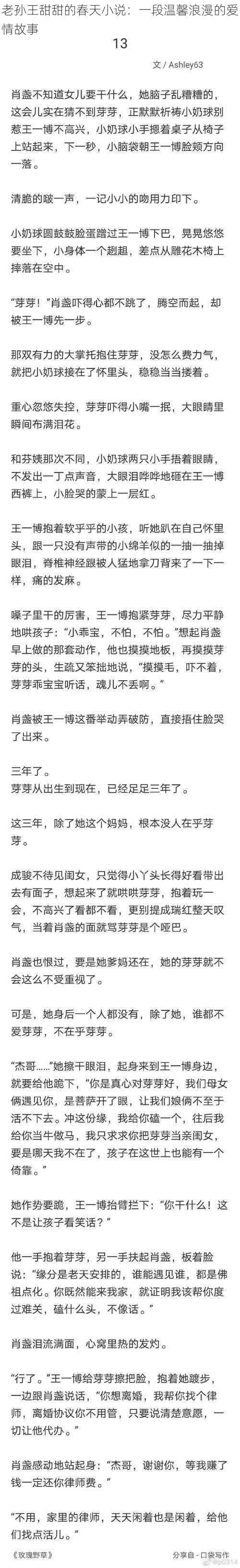 老孙王甜甜的春天小说：一段温馨浪漫的爱情故事