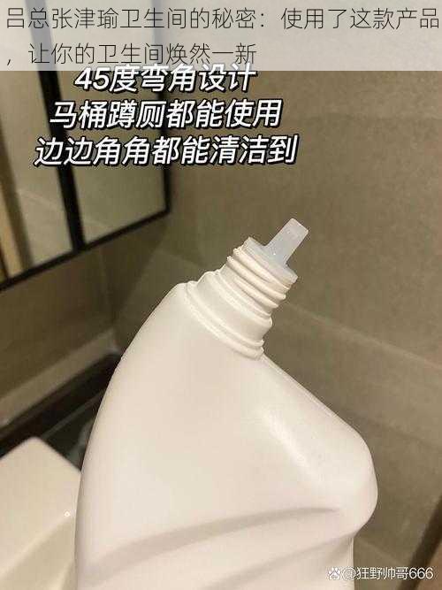 吕总张津瑜卫生间的秘密：使用了这款产品，让你的卫生间焕然一新