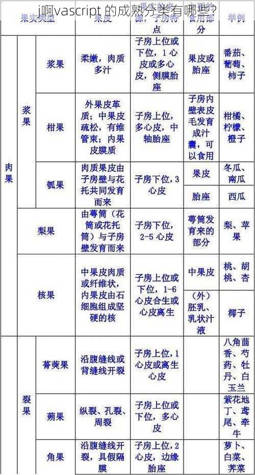 j啊vascript 的成熟分类有哪些？