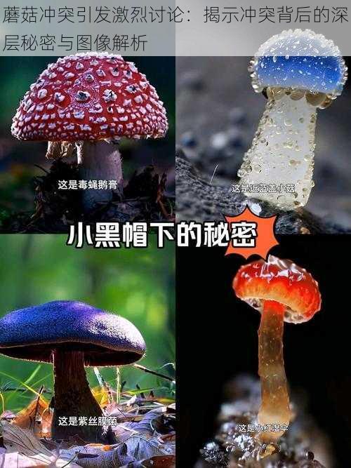 蘑菇冲突引发激烈讨论：揭示冲突背后的深层秘密与图像解析