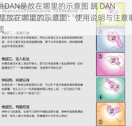 跳DAN是放在哪里的示意图 跳 DAN 是放在哪里的示意图：使用说明与注意事项