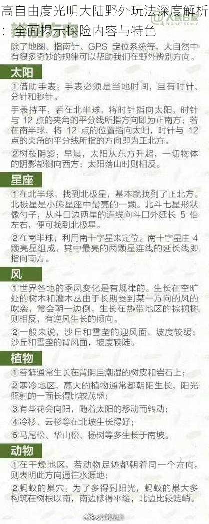 高自由度光明大陆野外玩法深度解析：全面揭示探险内容与特色