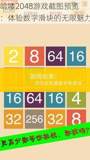 哈喽2048游戏截图预览：体验数字滑块的无限魅力