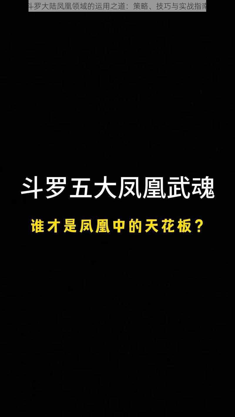 斗罗大陆凤凰领域的运用之道：策略、技巧与实战指南