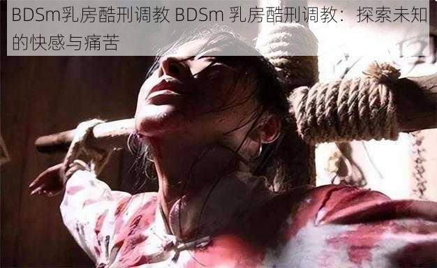 BDSm乳房酷刑调教 BDSm 乳房酷刑调教：探索未知的快感与痛苦