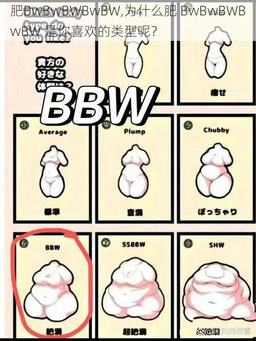 肥BwBwBWBwBW,为什么肥 BwBwBWBwBW 是你喜欢的类型呢？