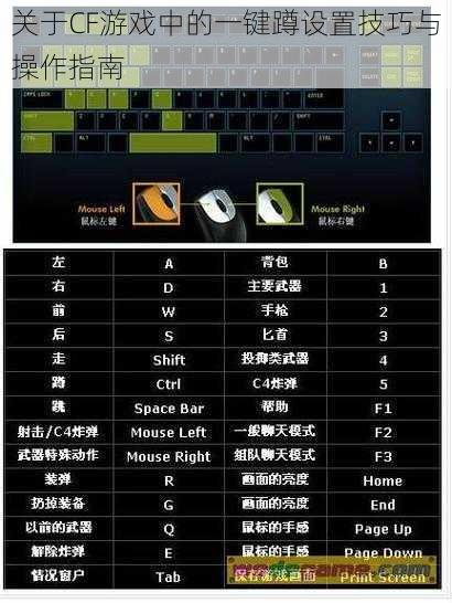 关于CF游戏中的一键蹲设置技巧与操作指南