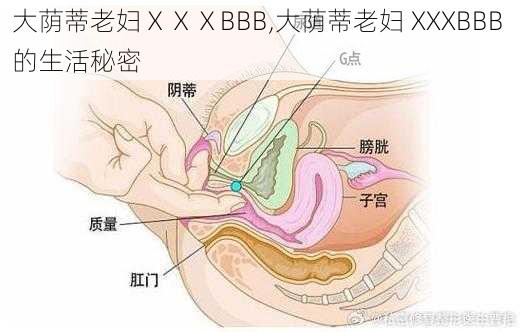 大荫蒂老妇ⅩⅩⅩBBB,大荫蒂老妇 XXXBBB 的生活秘密