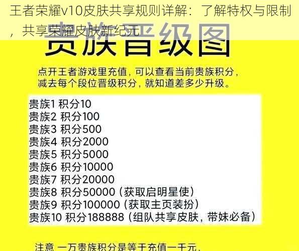 王者荣耀v10皮肤共享规则详解：了解特权与限制，共享荣耀皮肤新纪元