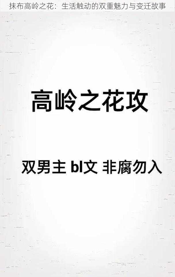 抹布高岭之花：生活触动的双重魅力与变迁故事