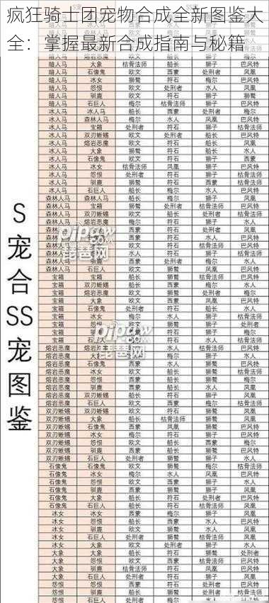 疯狂骑士团宠物合成全新图鉴大全：掌握最新合成指南与秘籍