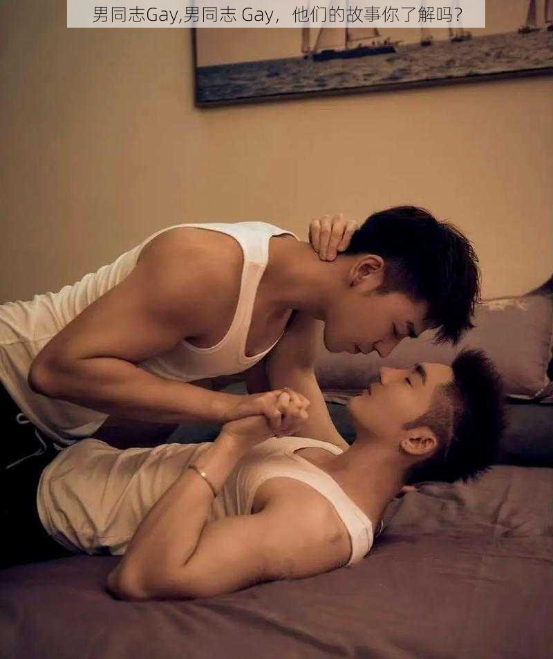 男同志Gay,男同志 Gay，他们的故事你了解吗？