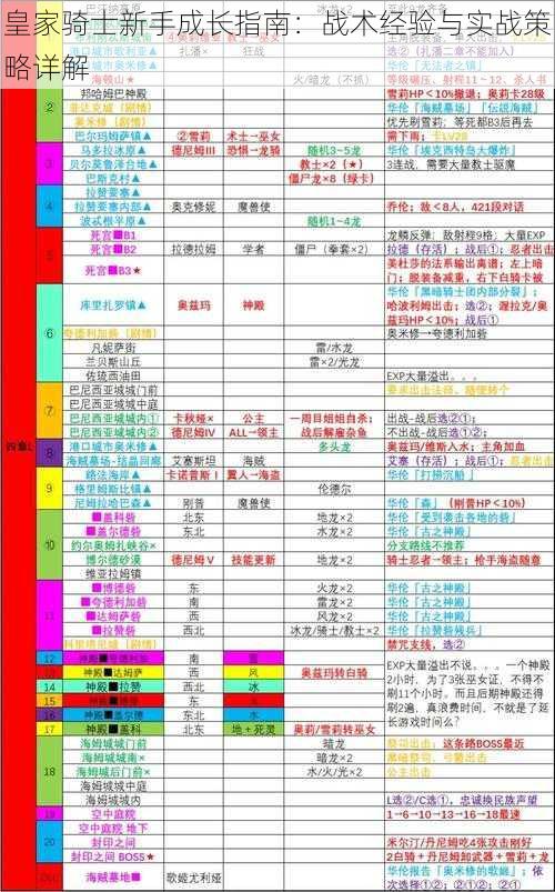 皇家骑士新手成长指南：战术经验与实战策略详解