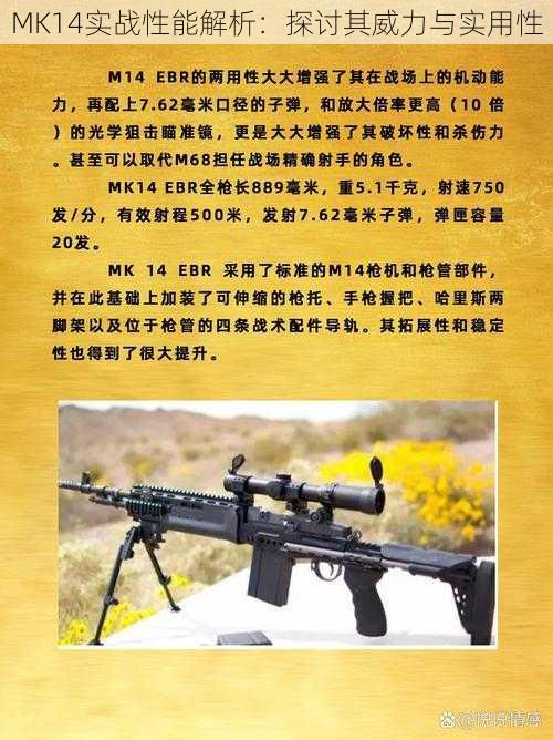 MK14实战性能解析：探讨其威力与实用性