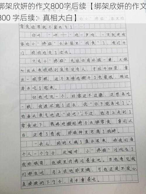 绑架欣妍的作文800字后续【绑架欣妍的作文 800 字后续：真相大白】