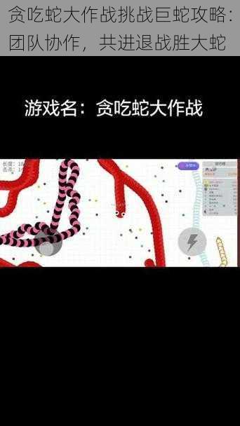 贪吃蛇大作战挑战巨蛇攻略：团队协作，共进退战胜大蛇