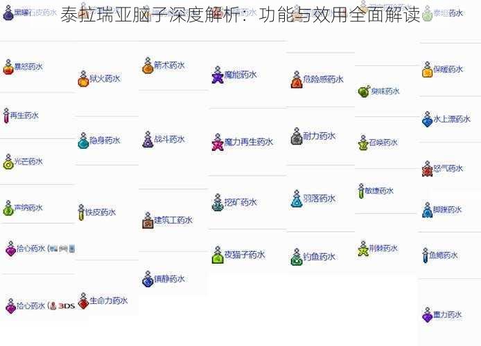泰拉瑞亚脑子深度解析：功能与效用全面解读