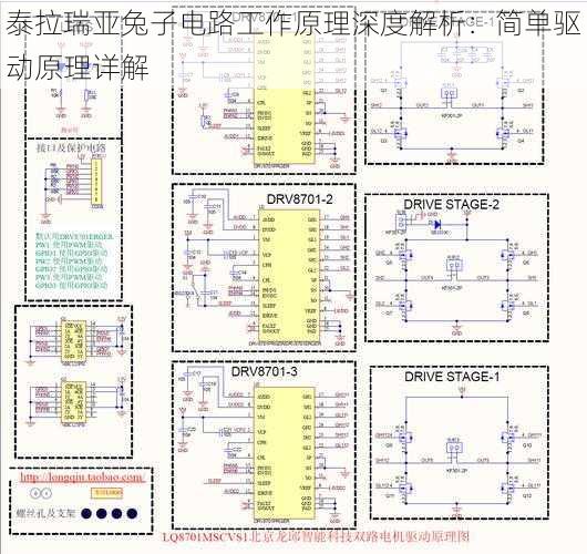 泰拉瑞亚兔子电路工作原理深度解析：简单驱动原理详解