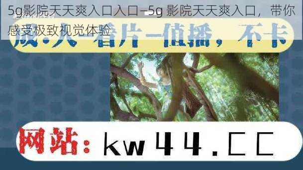 5g影院天天爽入口入口—5g 影院天天爽入口，带你感受极致视觉体验