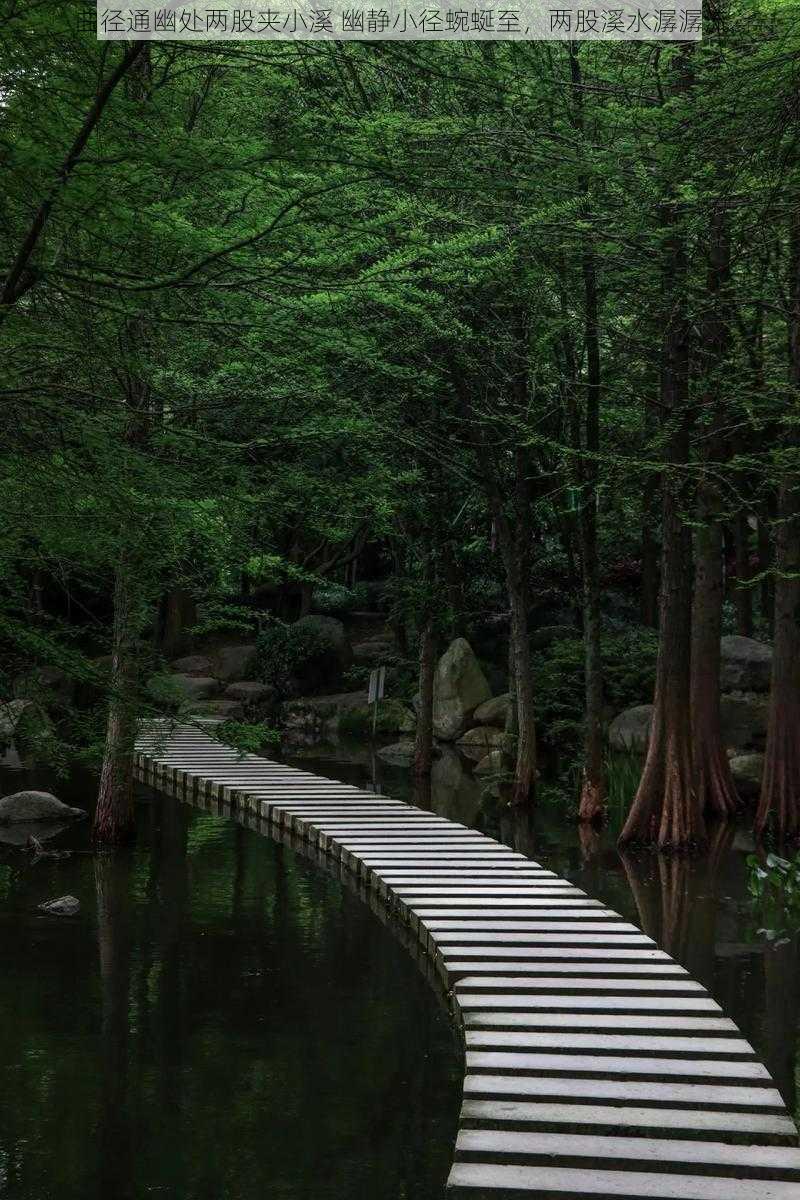 曲径通幽处两股夹小溪 幽静小径蜿蜒至，两股溪水潺潺流