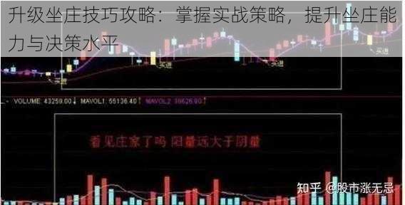 升级坐庄技巧攻略：掌握实战策略，提升坐庄能力与决策水平