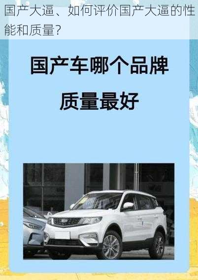 国产大逼、如何评价国产大逼的性能和质量？