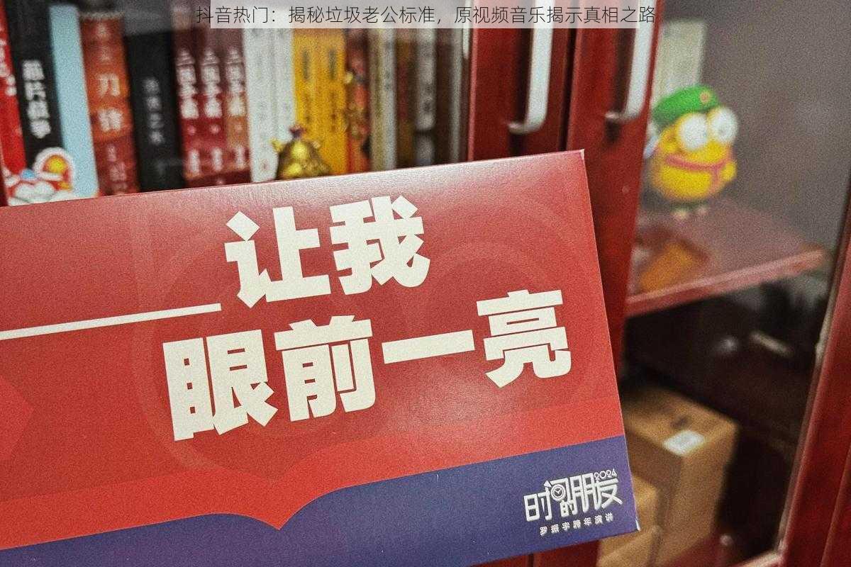 抖音热门：揭秘垃圾老公标准，原视频音乐揭示真相之路