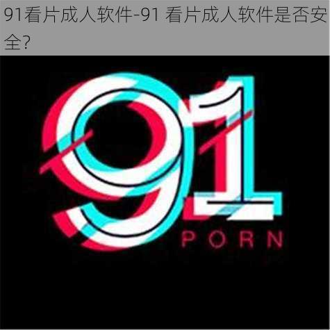 91看片成人软件-91 看片成人软件是否安全？