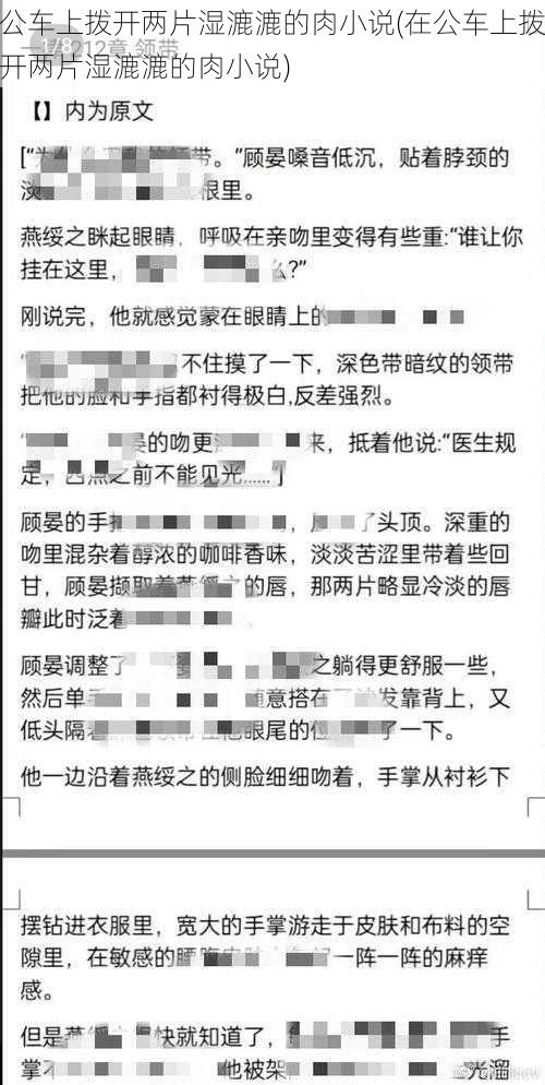 公车上拨开两片湿漉漉的肉小说(在公车上拨开两片湿漉漉的肉小说)