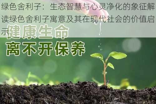 绿色舍利子：生态智慧与心灵净化的象征解读绿色舍利子寓意及其在现代社会的价值启示