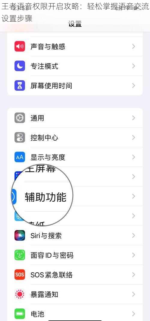 王者语音权限开启攻略：轻松掌握语音交流设置步骤