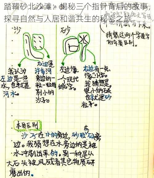 踏鞴砂北沙滩：揭秘三个指针背后的故事，探寻自然与人居和谐共生的秘密之旅