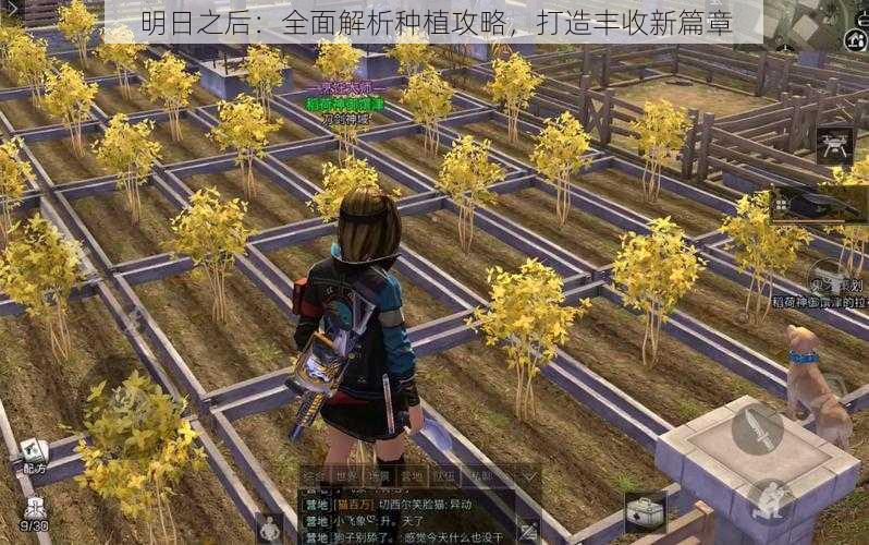 明日之后：全面解析种植攻略，打造丰收新篇章