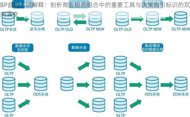 BP曲线名词解释：剖析商业投资组合中的重要工具与决策指引标识的双向演变