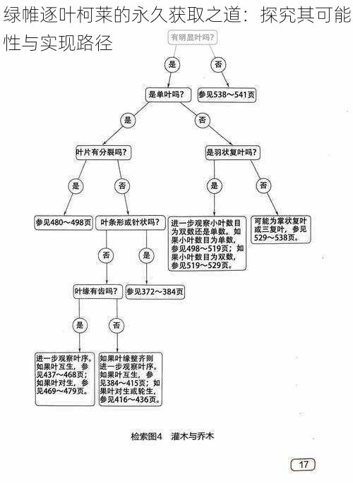 绿帷逐叶柯莱的永久获取之道：探究其可能性与实现路径