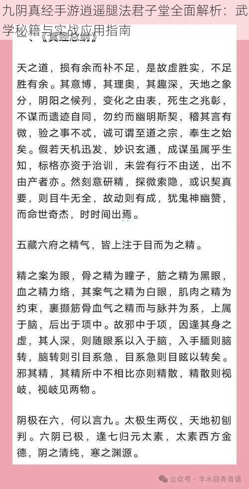 九阴真经手游逍遥腿法君子堂全面解析：武学秘籍与实战应用指南