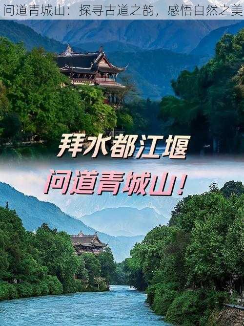 问道青城山：探寻古道之韵，感悟自然之美