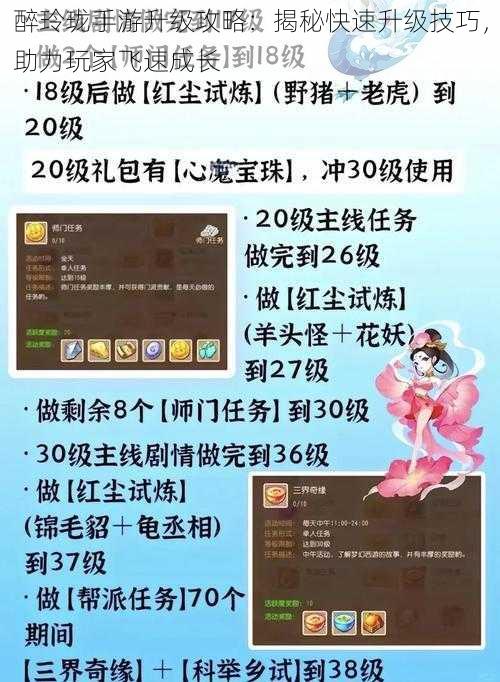 醉玲珑手游升级攻略：揭秘快速升级技巧，助力玩家飞速成长