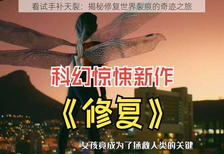 看试手补天裂：揭秘修复世界裂痕的奇迹之旅